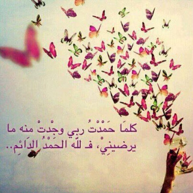 ـ ✵ؖ“ من لزم الدعاء فلن يدركه الشقاء •|| ✵ؖ