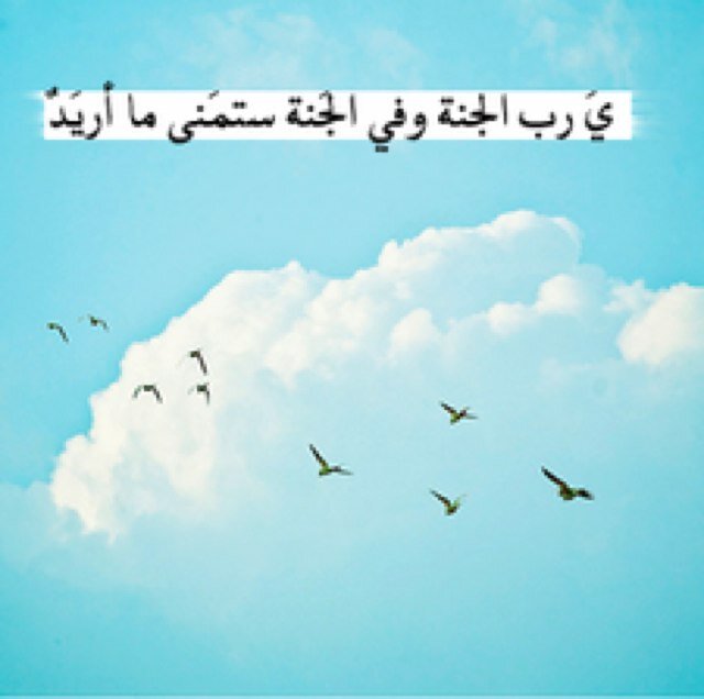 اسويلك فولو سو فولو باك هينا @Isaraz_h