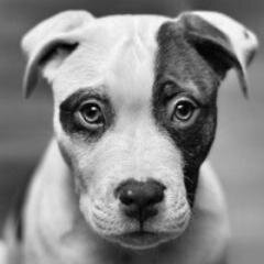 satori62's profile picture. 