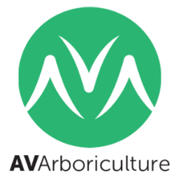 Trees inspections and surveys, planting, development & management