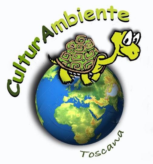 L'associazione si occupa di Soggiorno Studio e/o Lavoro all'Estero, Corsi di tutte le Lingue, corsi di Pittura, Fumetto, Fotografia,Scrittura, Scacchi...