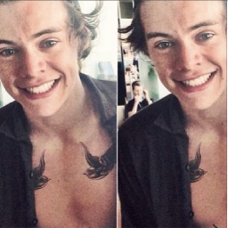 ♡ PLEASE GO FOLLOW @InesFilipe99 BC SHE GIVE U THIS FOLLOW. ♡ BUT IF YOU DON'T, THAT'S OK. I WONT UNFOLLOW YOU. :) ♡ LOVE YOU ♡