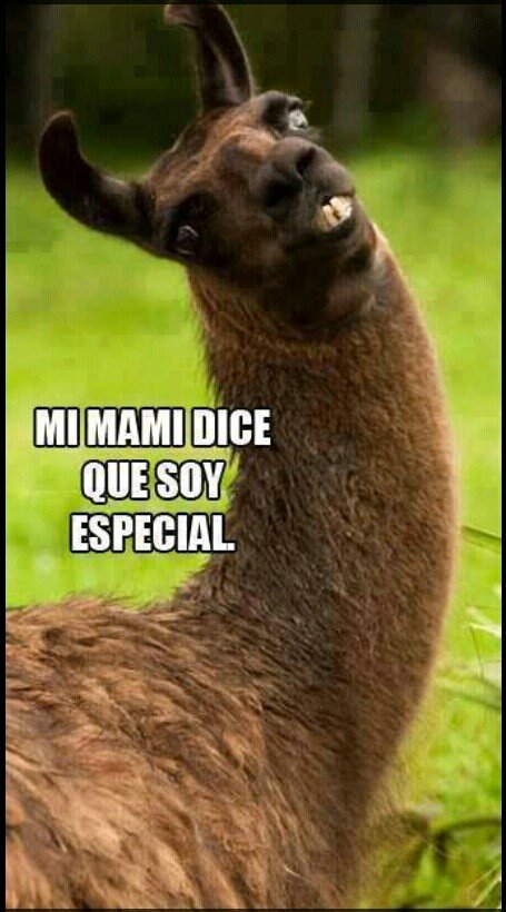 krankivelazquez's profile picture. Chistes, Musica, Diversión y Risas