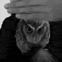 Erdinç T.C. (@mrdostoviski) Twitter profile photo