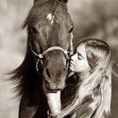 I just love horses