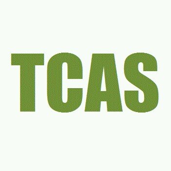 TCAS Ingeniería 
al servicio de la  calidad!!