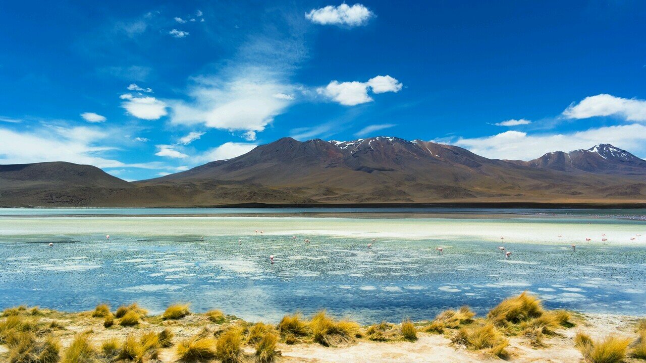 h20ah11's profile picture. سبحان الله وبحمده سبحان العظيم .. أستغفر الله وأتوب إليه .. لاحول ولاقوة إلا بالله