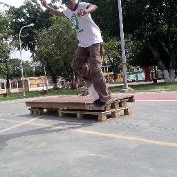 Skate And Destroy