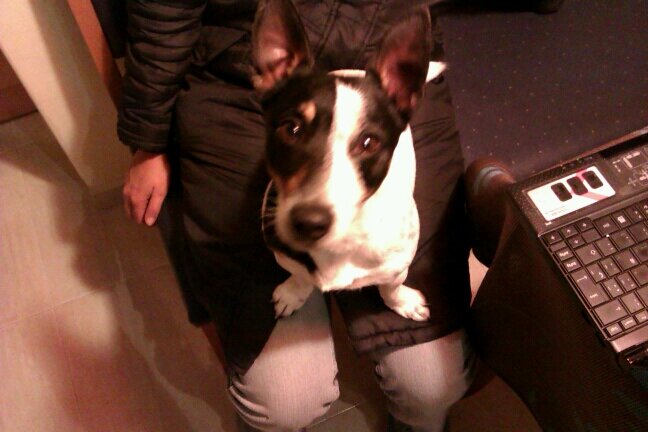 TofonaCanalda's profile picture. 