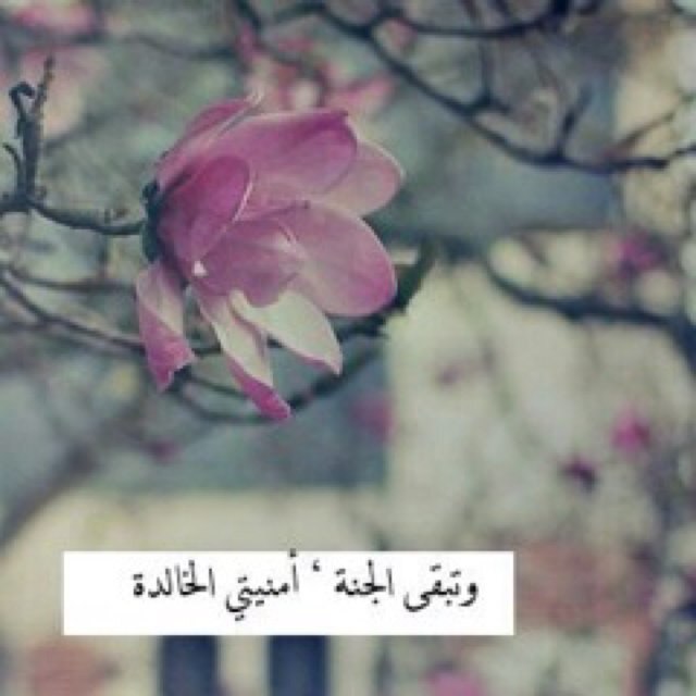 سبحان الله وبحمده سبحان الله العظيم