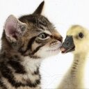 Estelle Starr - @starr_estelle - Twitter