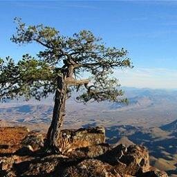 Western Texas, biking, raising 3 daughters and their father, Small business owner.