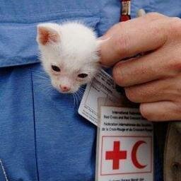 INTERNATIONAL EMERGENCY SERVICES - (HELPING those in NEED, so that they can HELP themselves)