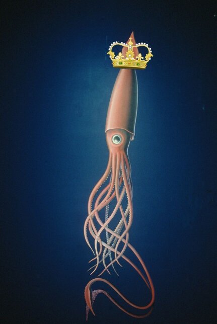 I am the Amazing Squid King, the one and only! Follow me on Tumblr @ http://t.co/zK5bGMBH3p and I won't eat you.