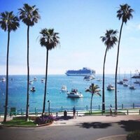 منيره (@moni653) 's Twitter Profile Photo