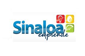 Organización Gubernamental.
Somos una incubadora de empresas que brinda asesoría y capacitación para que inicies tu negocio de manera eficiente.