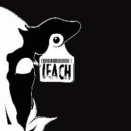 Leach_Band's profile picture. Leach begin as a friend's project which main influences are the passion and energy of garage rock, and experimentation with new sounds from alternative rock