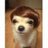 elnica6's profile image