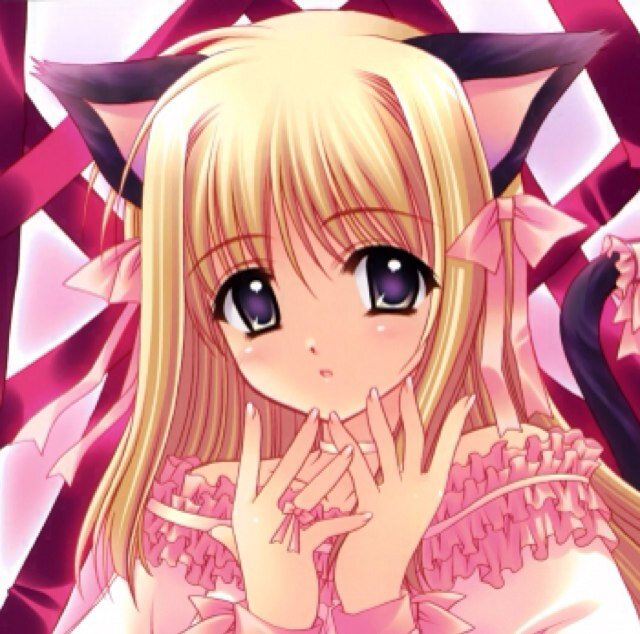 Meow. I'm Shyanne.