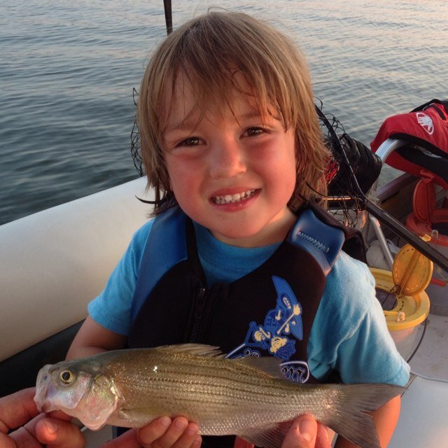 jmgoose's profile picture. I am a follower of my Lord and savior Jesus.