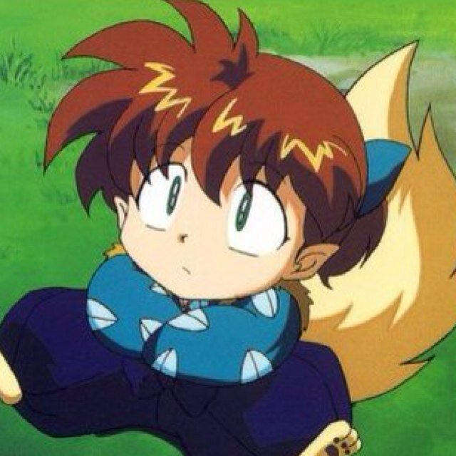 They call me 'Shippō, the fox demon of justice'. Followed by my vassals, Inuyasha and others, I roam the countryside conquering evil demons. || #InuyashaRP