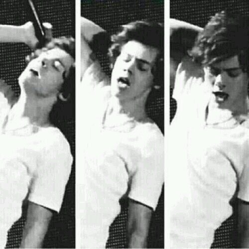 My Idols. Styles Horan Malik Payne Tomlinson.