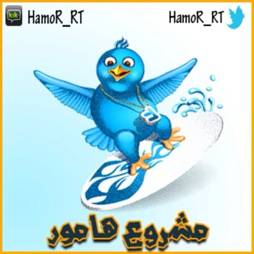 #شعاري_المصداقية

تتابعني = أتابعك 
⛔ انفلو = انفلو ⛔


للتبادل ♻5/5♻ يشترط:-
1-عدم وجود صور نساء بحسابك
2-عدم وجود صور نساء بحسابك
3-عدم وجود صور نساء بحسابك
