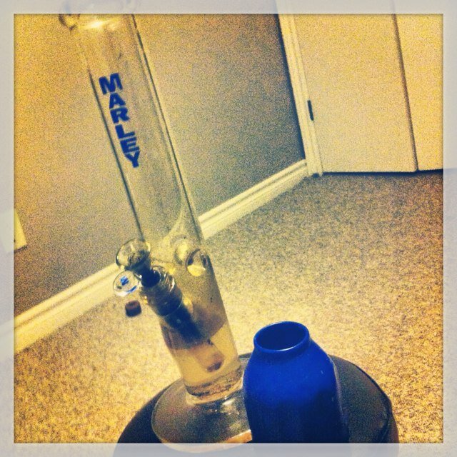 etan95's profile picture. skatin' , blazin'. Snappin necks & cashin' checks.