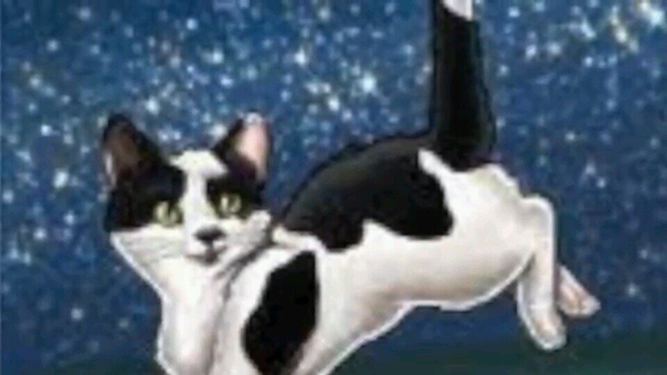 Hi I am StarPelt i used to be RoseHeart in ThunderClan but I am now in MoonClan! (Male) (MoonClan) (Apprentice: None) (Leader: @Eclipse_Star_) (Crush: None)