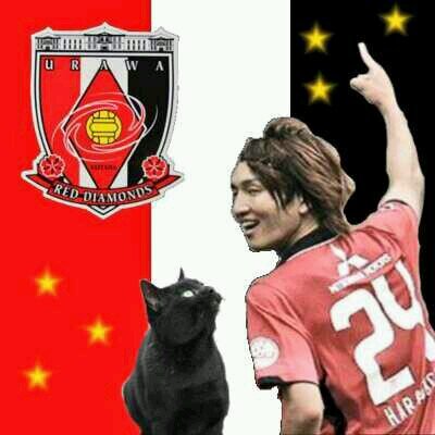 ぴよたんー浦和美園スタジアムタウンさんのプロフィール画像