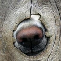 Beth Stigleman (@astoria65) 's Twitter Profile