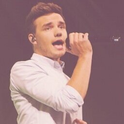 hiii (hopefully) soon to be mutual! please follow me -- @lukingforliam ; i follow back :) x