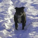 mark rees - @reesuspositive - Twitter