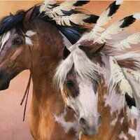 Sandra Sorrell - @horsefeathers80 Twitter Profile Photo