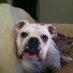 Showey D (@showeyd) Twitter profile photo Showey D (@showeyd) Twitter profile photo