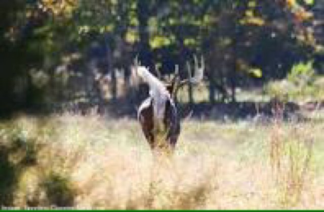 Relatable account for all the worst case scenarios of nature.... Anything that can go wrong, will... Family, God, Hunt #huntingprobs #TeamHunt #Gen27:3