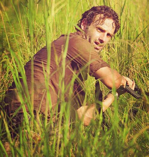 Ex-Sheriff, Father of Carl. I have to do what i can to keep the group safe. This ain't a democracy anymore. [RP/Parody]