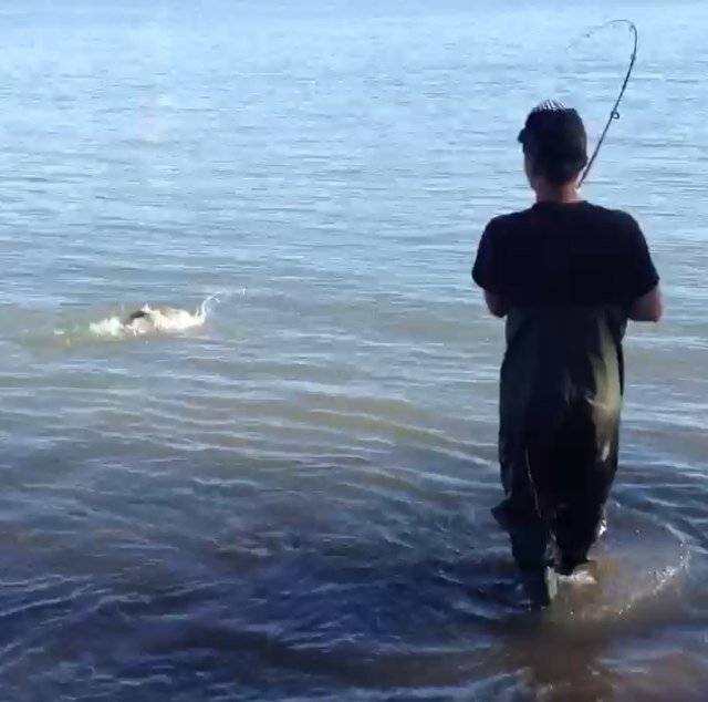 FishOnEveryCast's profile picture. Pure Fishing Nerd