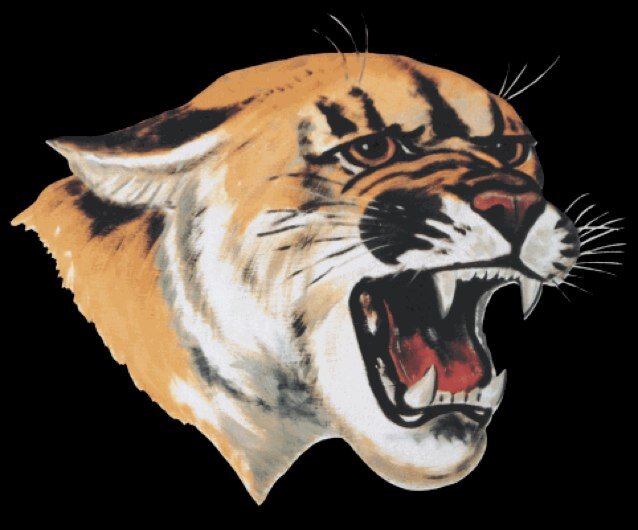 fauxpetehurt's profile picture. Im NOT the head football coach at Northwest Rankin! But my lack of accomplishments will be felt for years to come!!