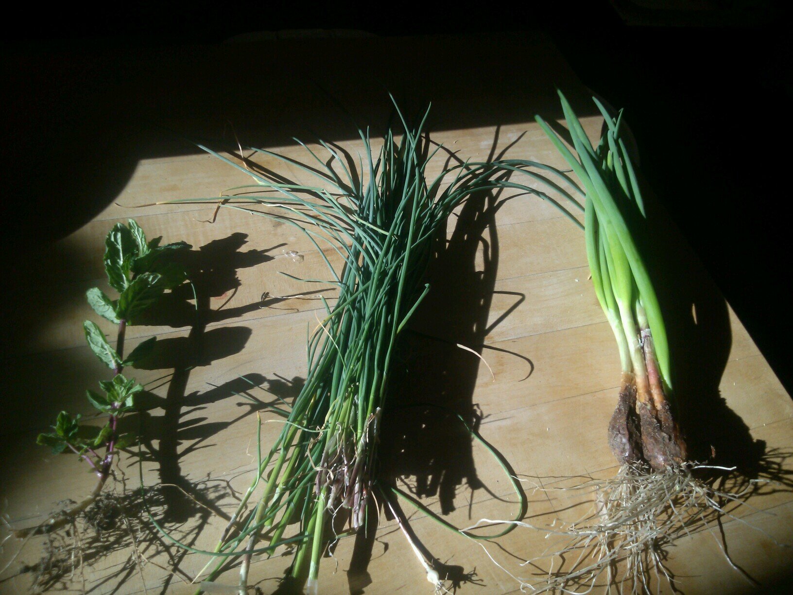 ChezDuBois's profile picture. 