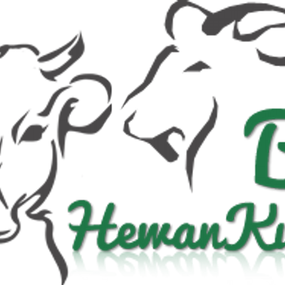 5300 Gambar Hewan Qurban Png HD - Gambar Hewan