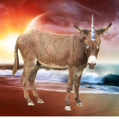 Sex position donkey style me Apologise, Sex position donkey style me