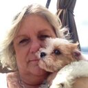 Debbie Saari - @dlsaari - Twitter