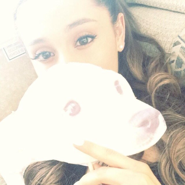 I just gave you a free follow @roaringariana