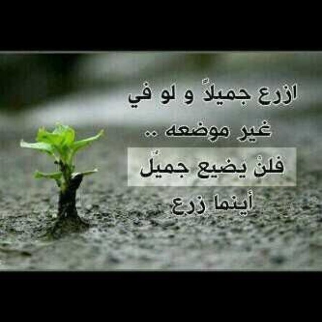 سَ تُغنينا الجنّه عن فنَاء الدُنيا ،