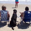 Daniel Driver - @DanielCDriver - Twitter