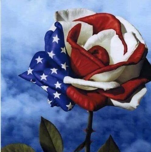 Proud daughter of, retired MSGT Army,NavyMom,Wife,Mother,GRANDMOTHER of 8 Support our Military, Allies Military. Christian.Pray4Peace.Rasing 13 year