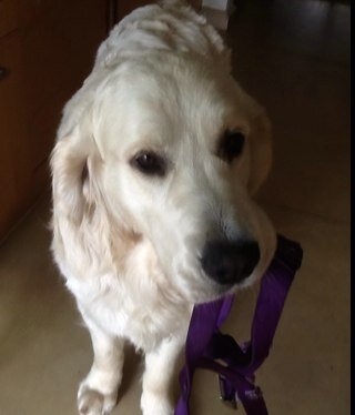 BlancoBlogs's profile picture. 