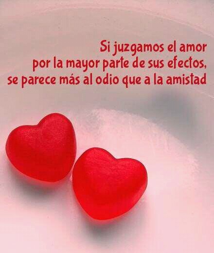 busco la felicidad en mi vida :-)