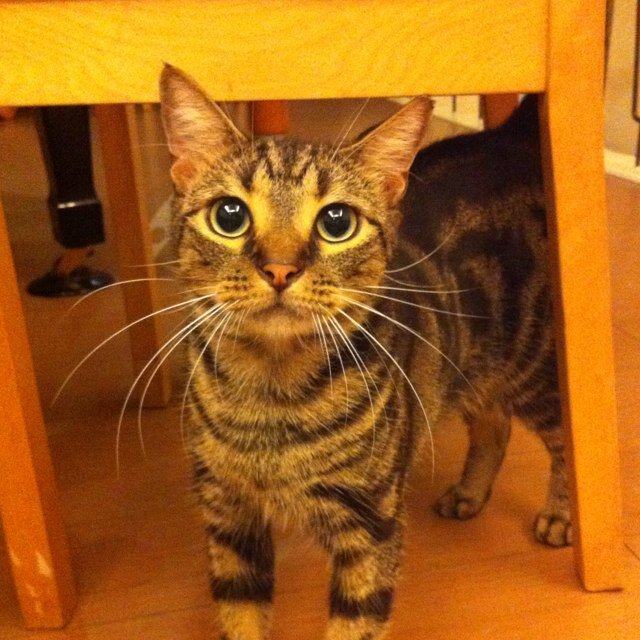 catharinelai's profile picture. 